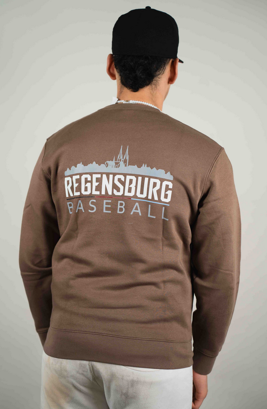 Sweater Skyline klein, braun